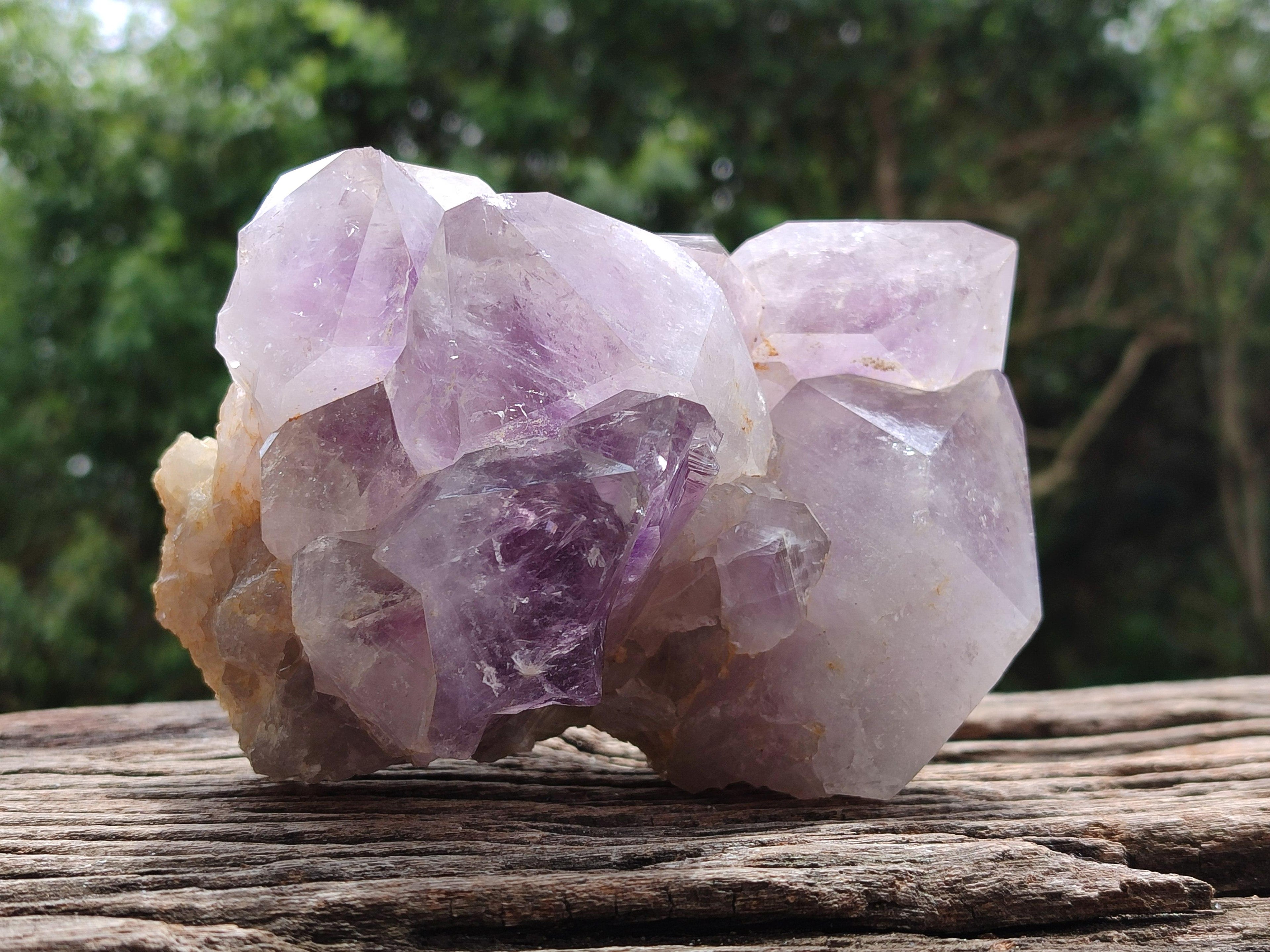 Natural Jacaranda Amethyst Crystal Clusters x 2 From Mumbwa, Zambia