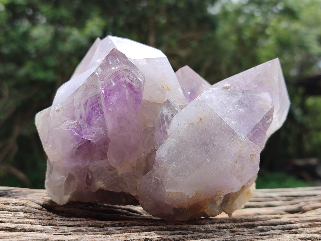 Natural Jacaranda Amethyst Crystal Clusters x 2 From Mumbwa, Zambia
