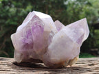 Natural Jacaranda Amethyst Crystal Clusters x 2 From Mumbwa, Zambia