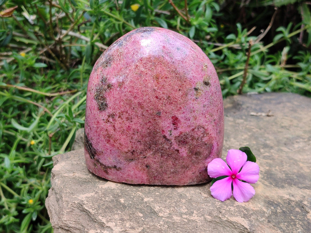 Polished Rhodonite Standing Free Form x 1 From Ambindavato, Madagascar