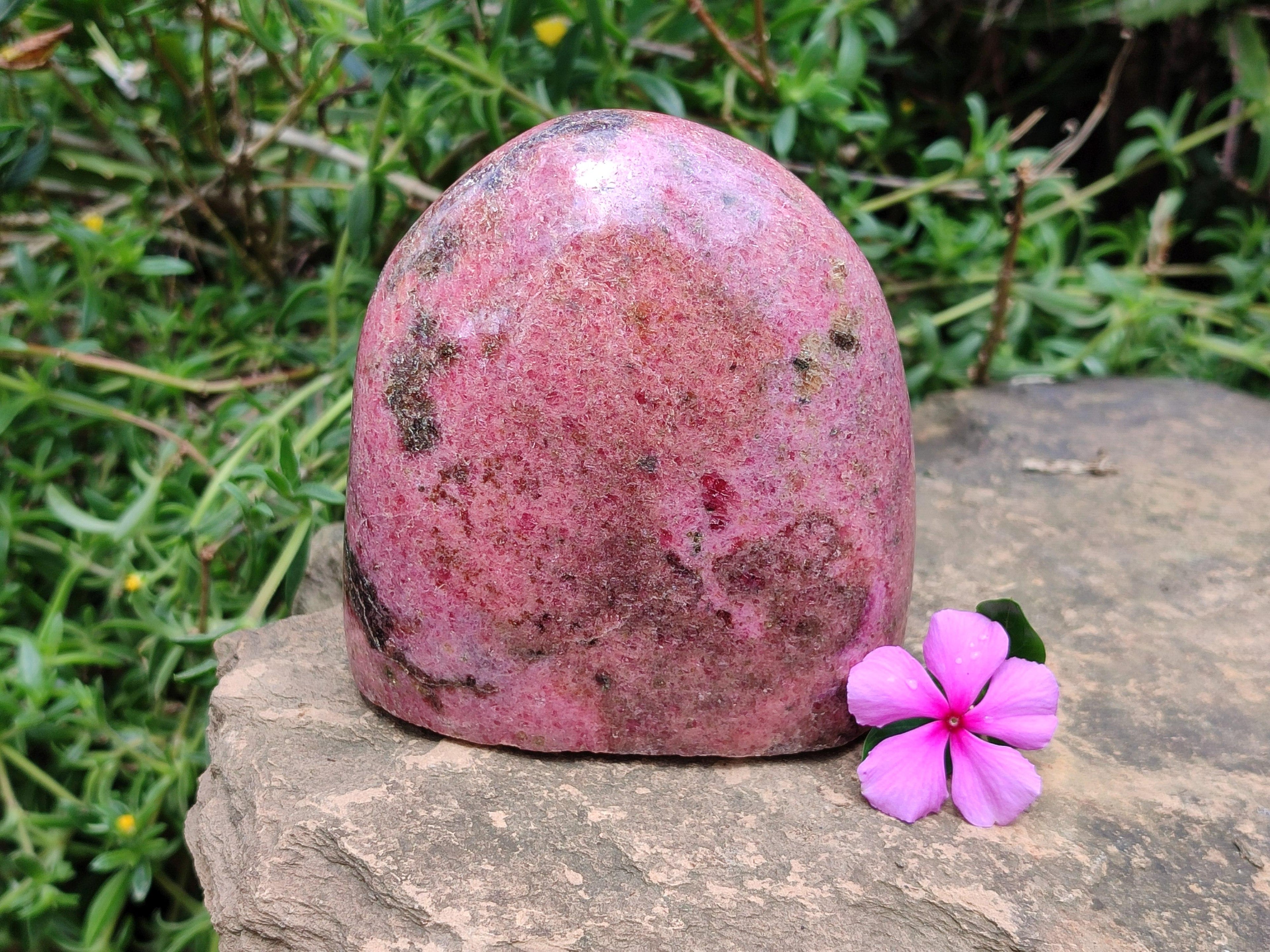 Polished Rhodonite Standing Free Form x 1 From Ambindavato, Madagascar