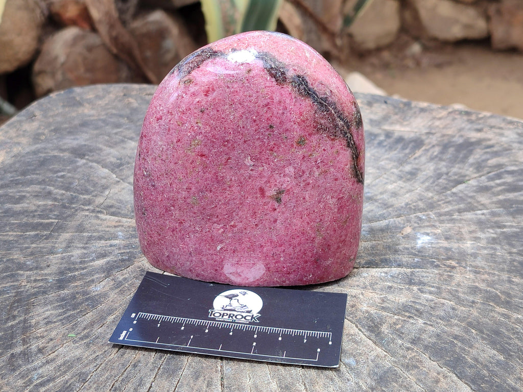 Polished Rhodonite Standing Free Form x 1 From Ambindavato, Madagascar