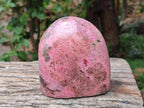 Polished Rhodonite Standing Free Form x 1 From Ambindavato, Madagascar