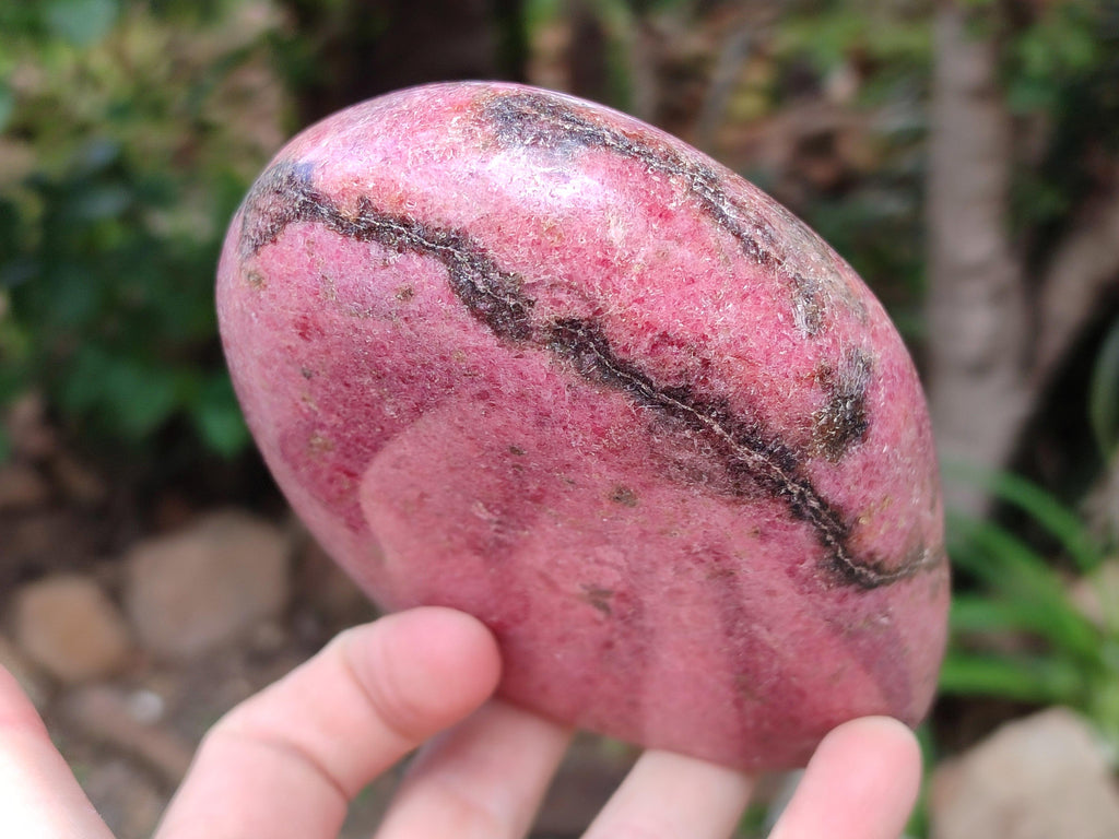 Polished Rhodonite Standing Free Form x 1 From Ambindavato, Madagascar