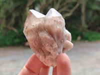 Natural Small Selected Luena Smokey Phantom Quartz Crystals x 12 From Congo