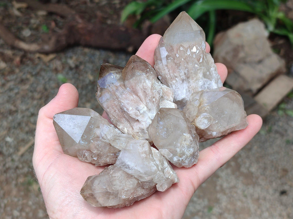 Natural Small Selected Luena Smokey Phantom Quartz Crystals x 12 From Congo