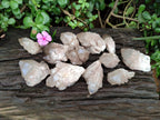 Natural Small Selected Luena Smokey Phantom Quartz Crystals x 12 From Congo