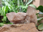 Natural Small Selected Luena Smokey Phantom Quartz Crystals x 12 From Congo