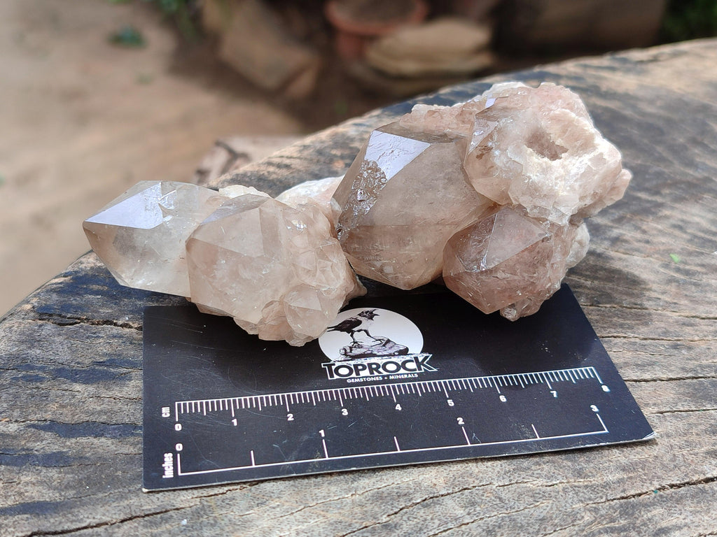 Natural Small Selected Luena Smokey Phantom Quartz Crystals x 12 From Congo