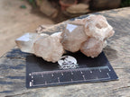 Natural Small Selected Luena Smokey Phantom Quartz Crystals x 12 From Congo