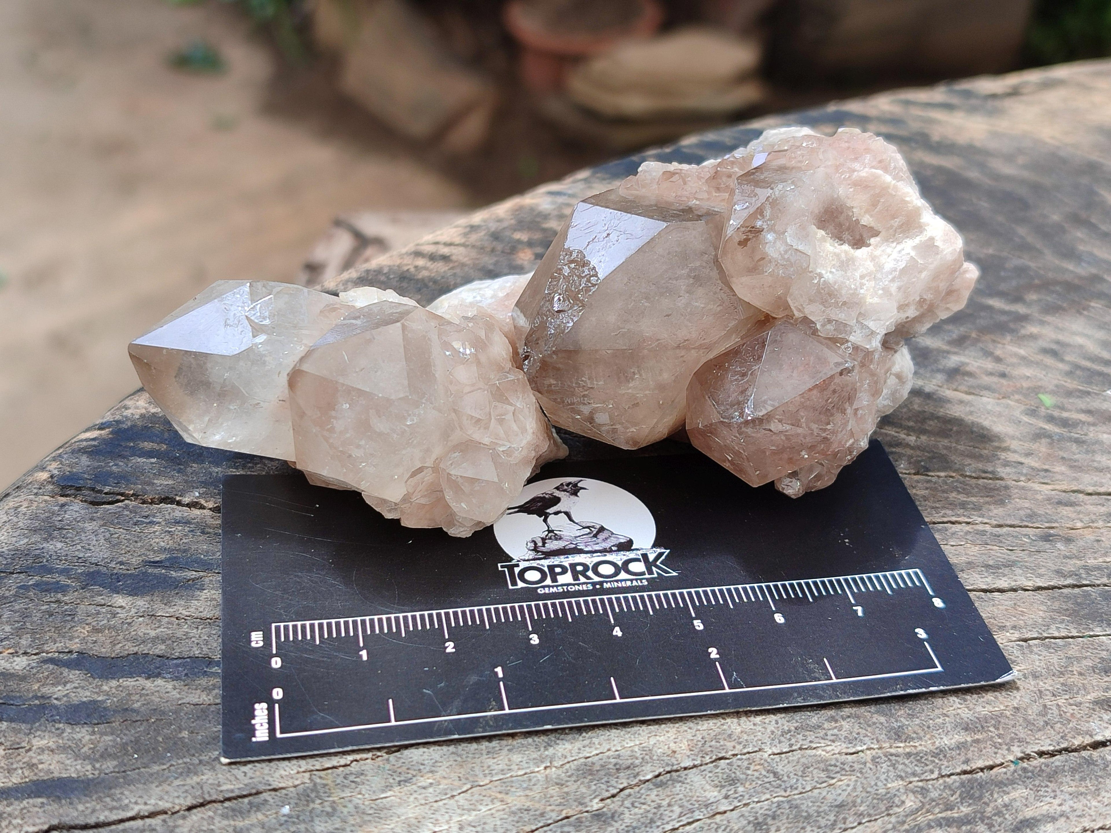 Natural Small Selected Luena Smokey Phantom Quartz Crystals x 12 From Congo