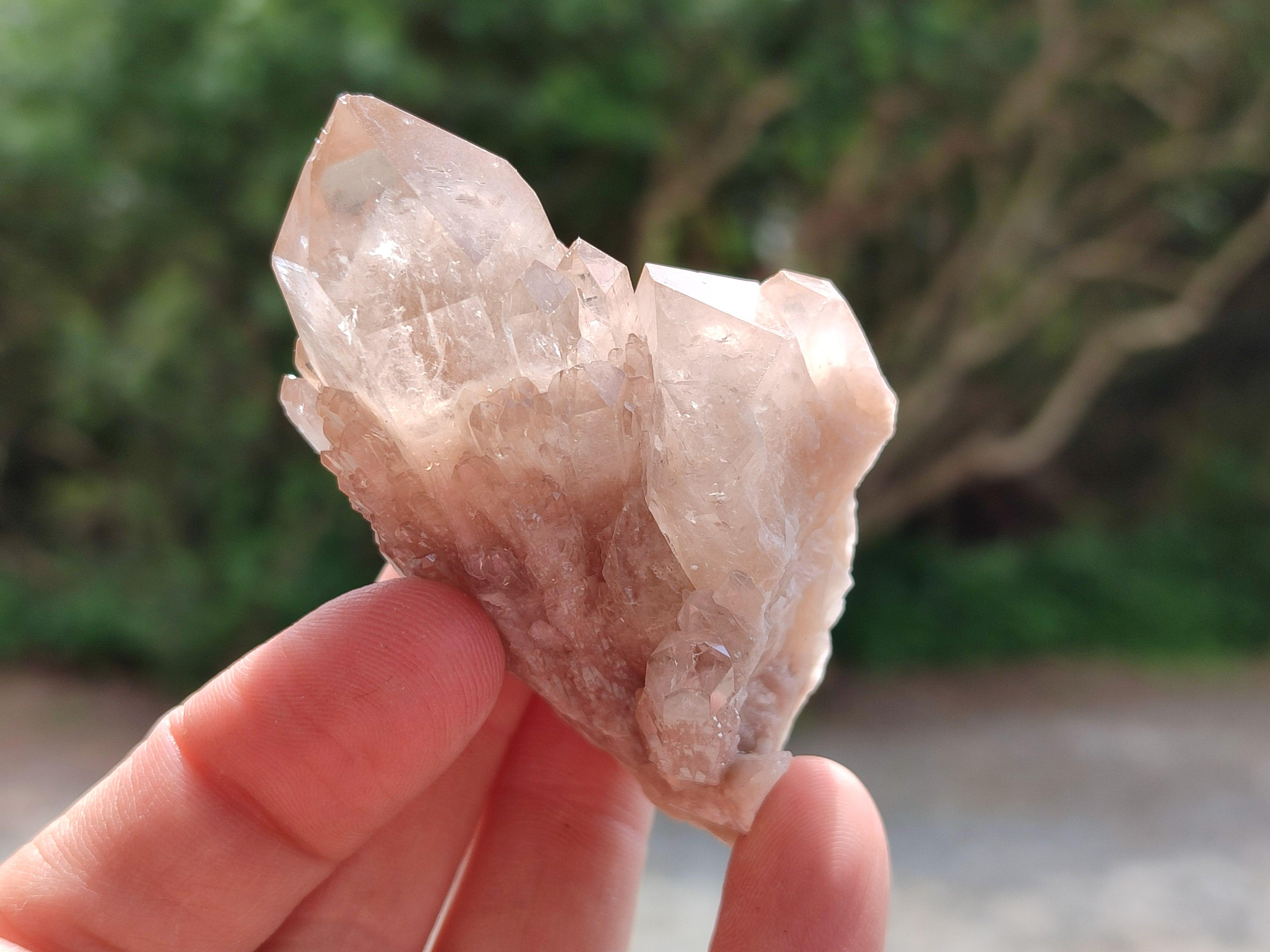 Natural Small Selected Luena Smokey Phantom Quartz Crystals x 12 From Congo