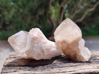 Natural Small Selected Luena Smokey Phantom Quartz Crystals x 12 From Congo