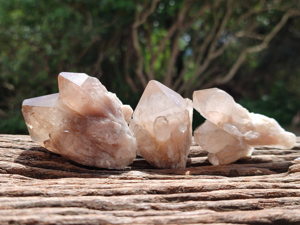 Natural Small Selected Luena Smokey Phantom Quartz Crystals x 12 From Congo