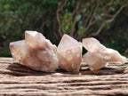 Natural Small Selected Luena Smokey Phantom Quartz Crystals x 12 From Congo