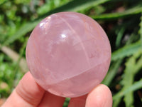 Polished Small Star Rose Quartz Spheres x 12 From Madagascar