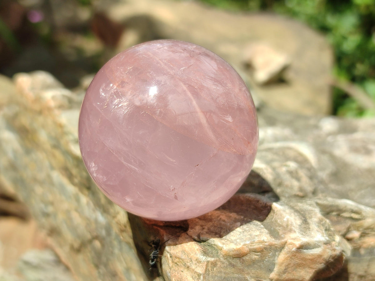 Polished Small Star Rose Quartz Spheres x 12 From Madagascar