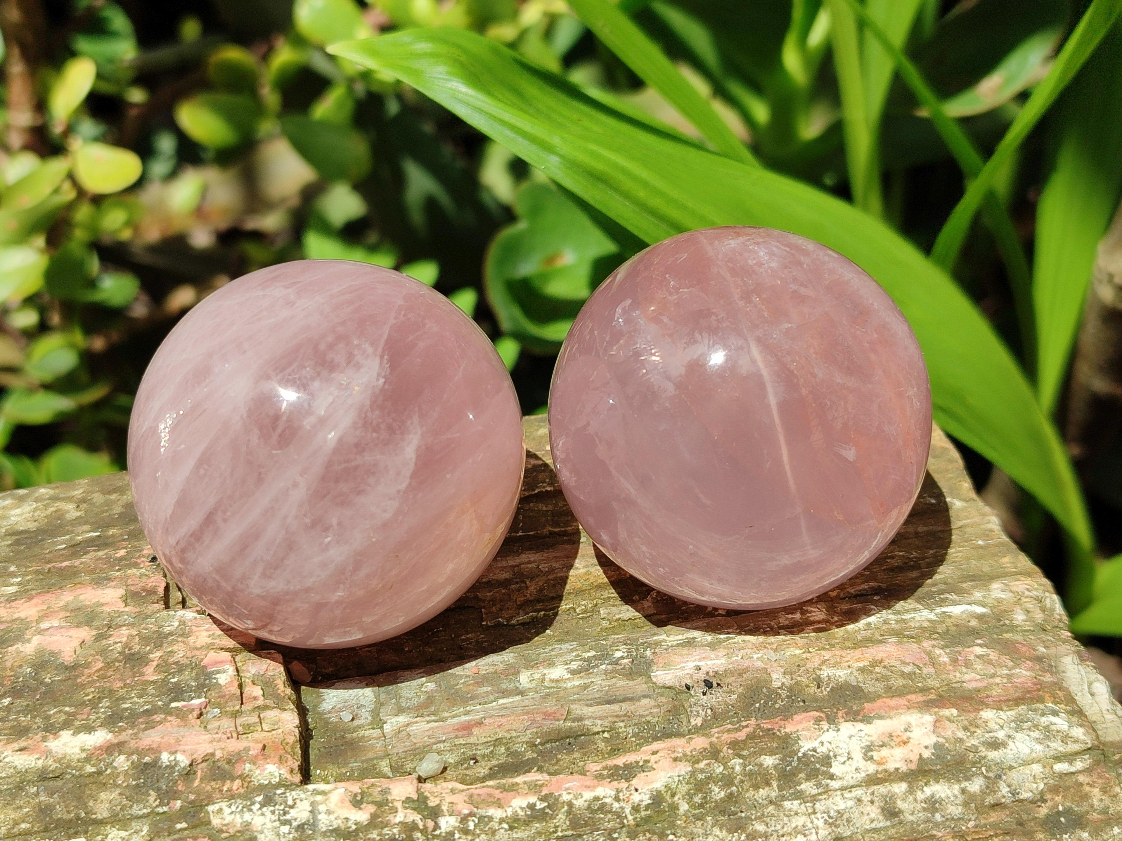 Polished Small Star Rose Quartz Spheres x 12 From Madagascar