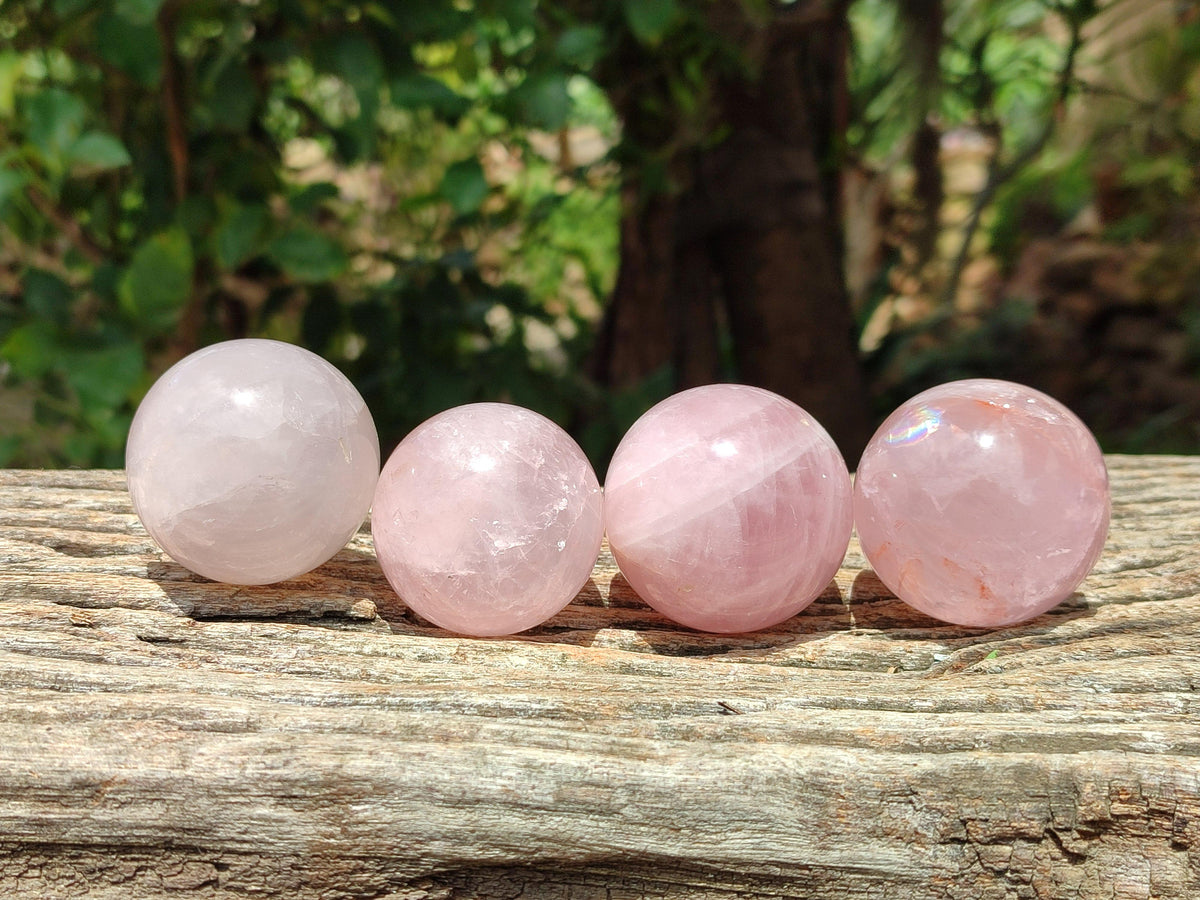 Polished Small Star Rose Quartz Spheres x 12 From Madagascar