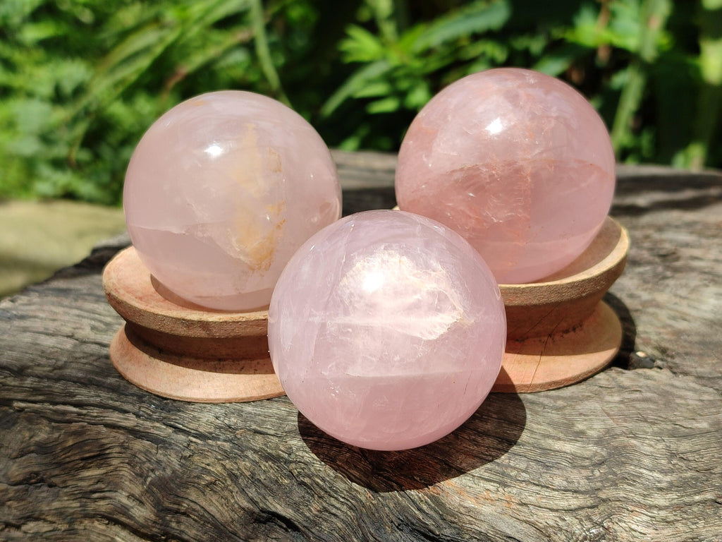 Polished Small Star Rose Quartz Spheres x 12 From Madagascar
