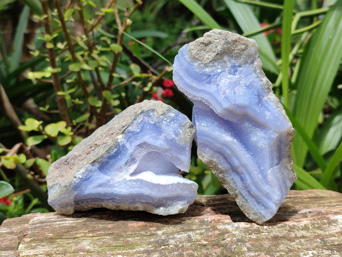 Natural Blue Lace Agate Geode Specimens x 6 From Nsanje, Malawi