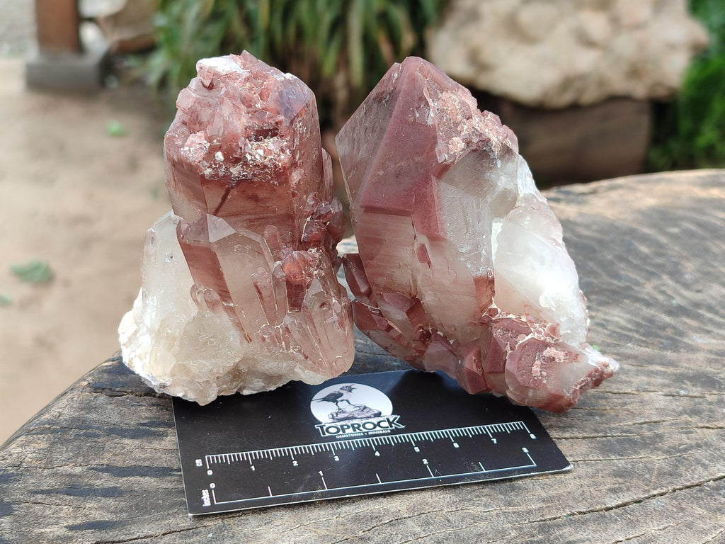 Natural Red Hematoid Quartz Clusters And Crystals x 6 From Karoi, Zimbabwe
