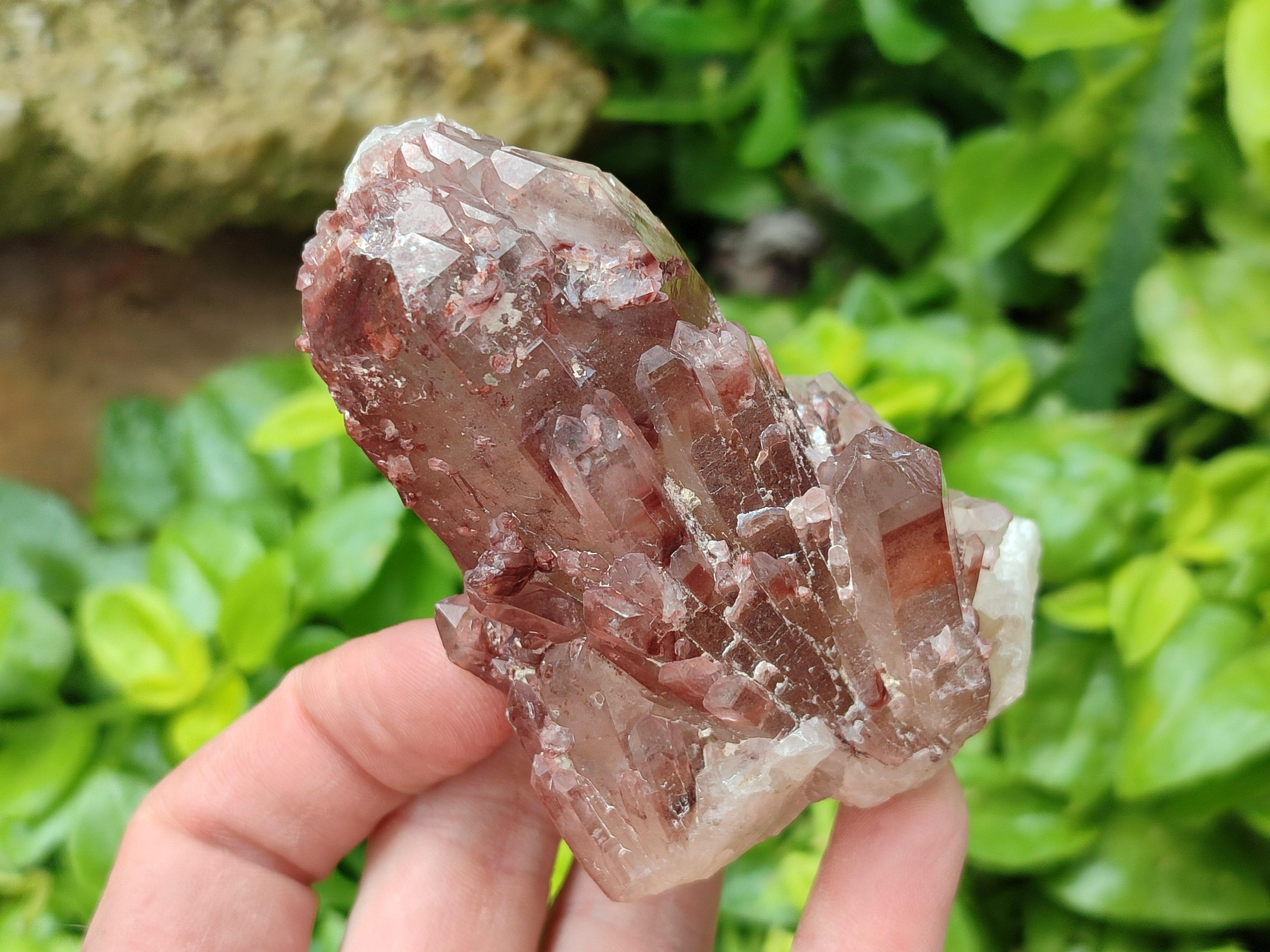 Natural Red Hematoid Quartz Clusters And Crystals x 6 From Karoi, Zimbabwe