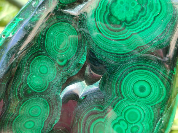Polished Flower Banded Malachite Free Form x 1 From Congo