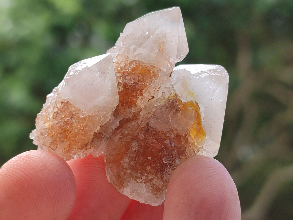 Natural Golden Limonite Spirit Quartz Crystals x 70 From Boekenhouthoek, South Africa