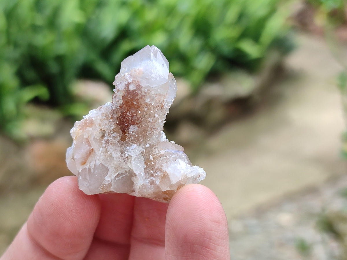 Natural Golden Limonite Spirit Quartz Crystals x 70 From Boekenhouthoek, South Africa