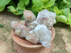Natural Golden Limonite Spirit Quartz Crystals x 70 From Boekenhouthoek, South Africa