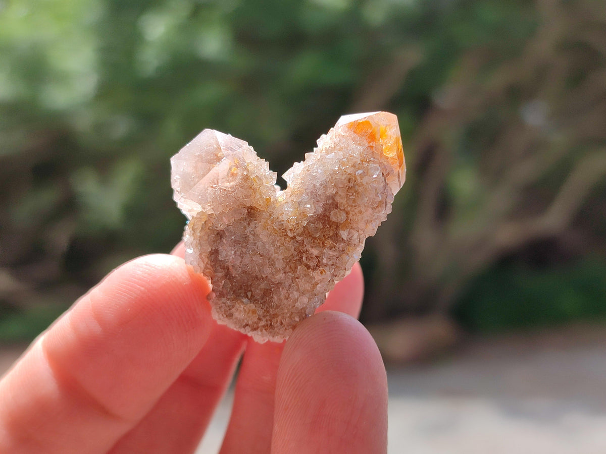 Natural Golden Limonite Spirit Quartz Crystals x 70 From Boekenhouthoek, South Africa