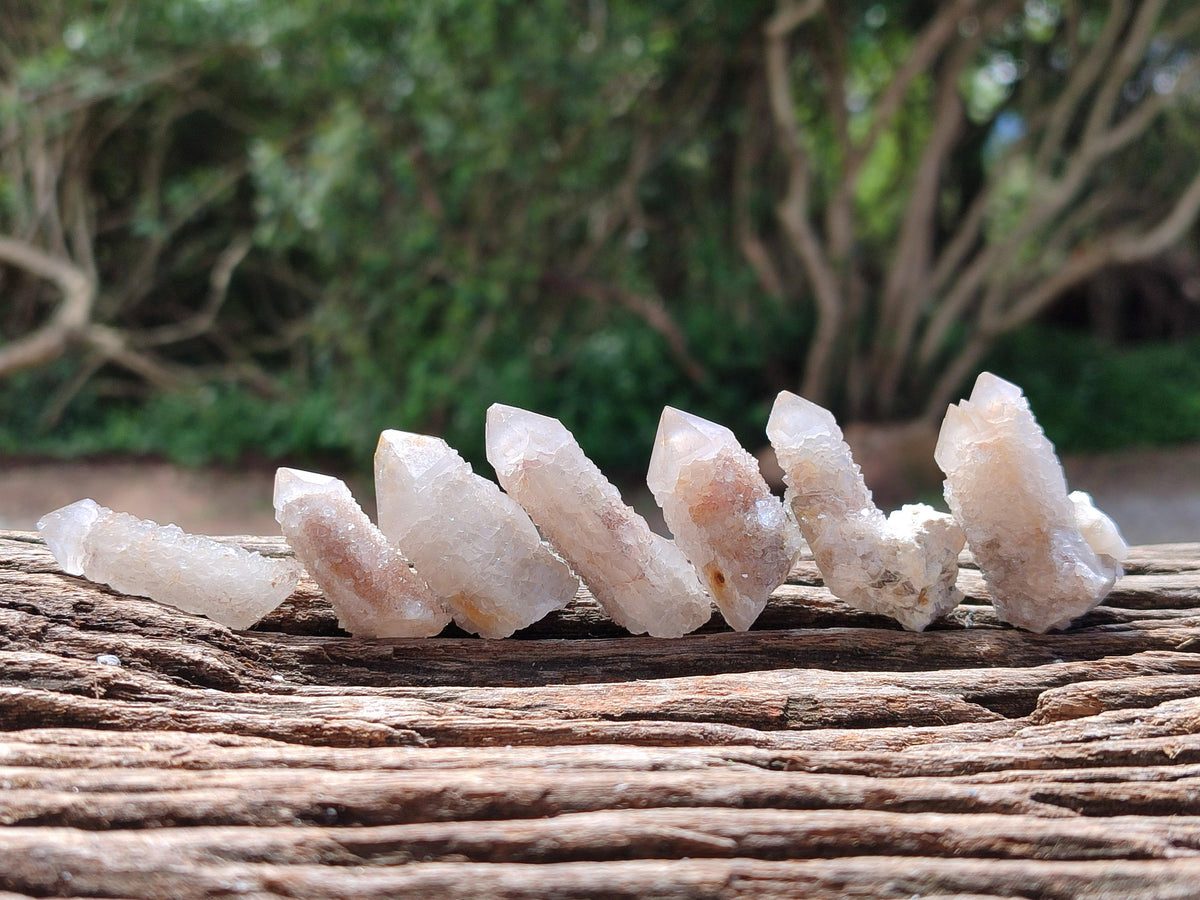 Natural Golden Limonite Spirit Quartz Crystals x 70 From Boekenhouthoek, South Africa