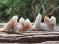 Natural Golden Limonite Spirit Quartz Crystals x 70 From Boekenhouthoek, South Africa