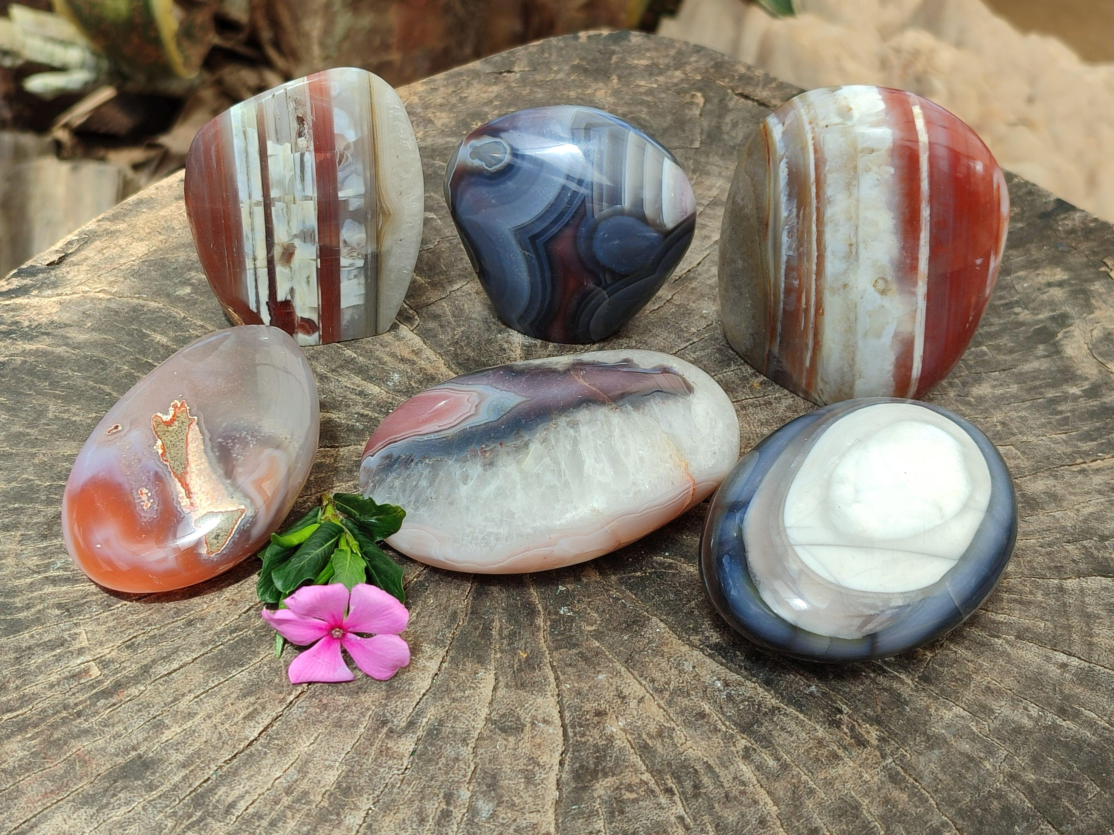 Polished Red Shashe River Agate Standing And Free Forms x 6 From Shashe River, Zimbabwe