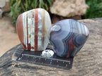 Polished Red Shashe River Agate Standing And Free Forms x 6 From Shashe River, Zimbabwe
