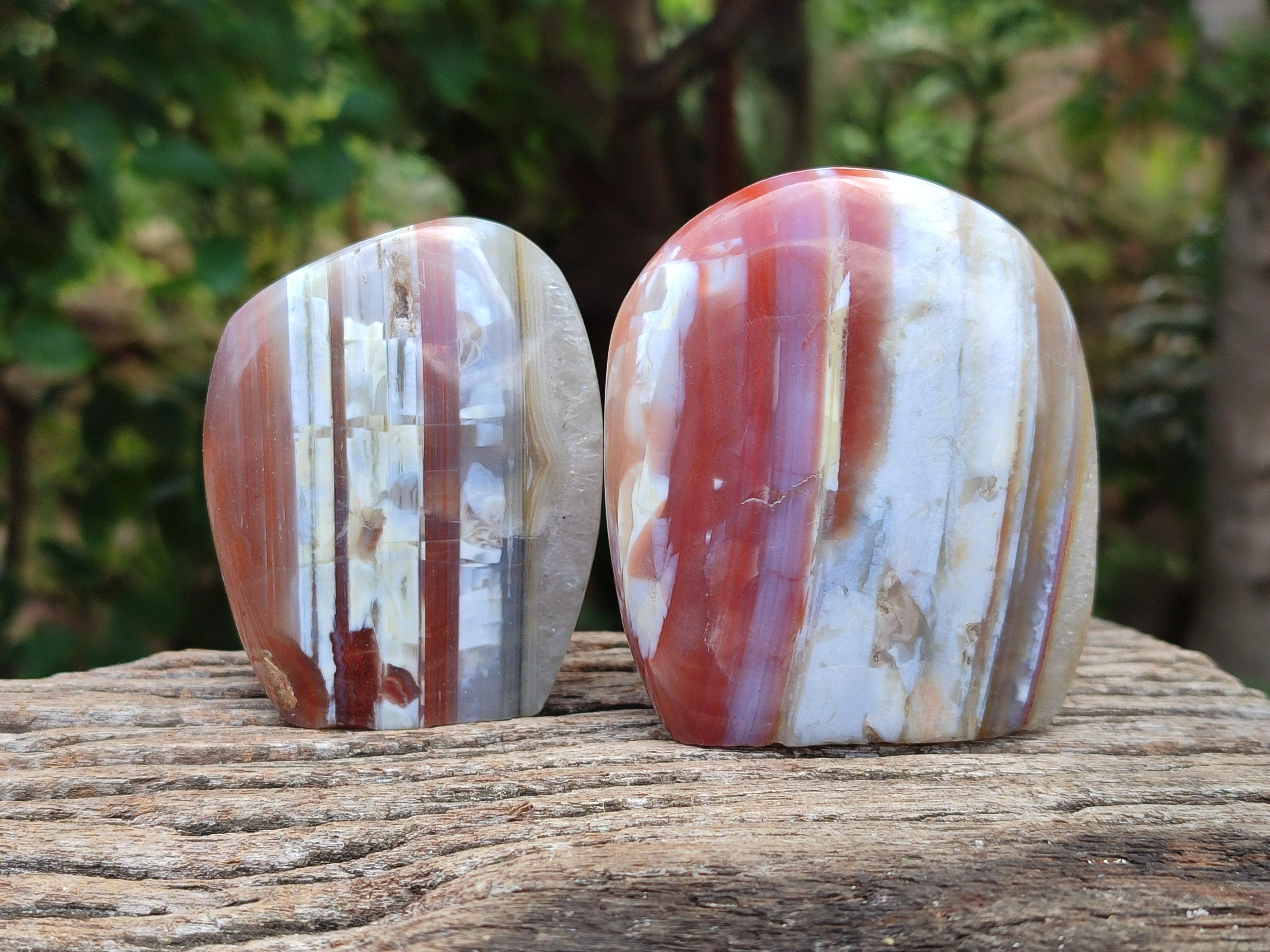Polished Red Shashe River Agate Standing And Free Forms x 6 From Shashe River, Zimbabwe