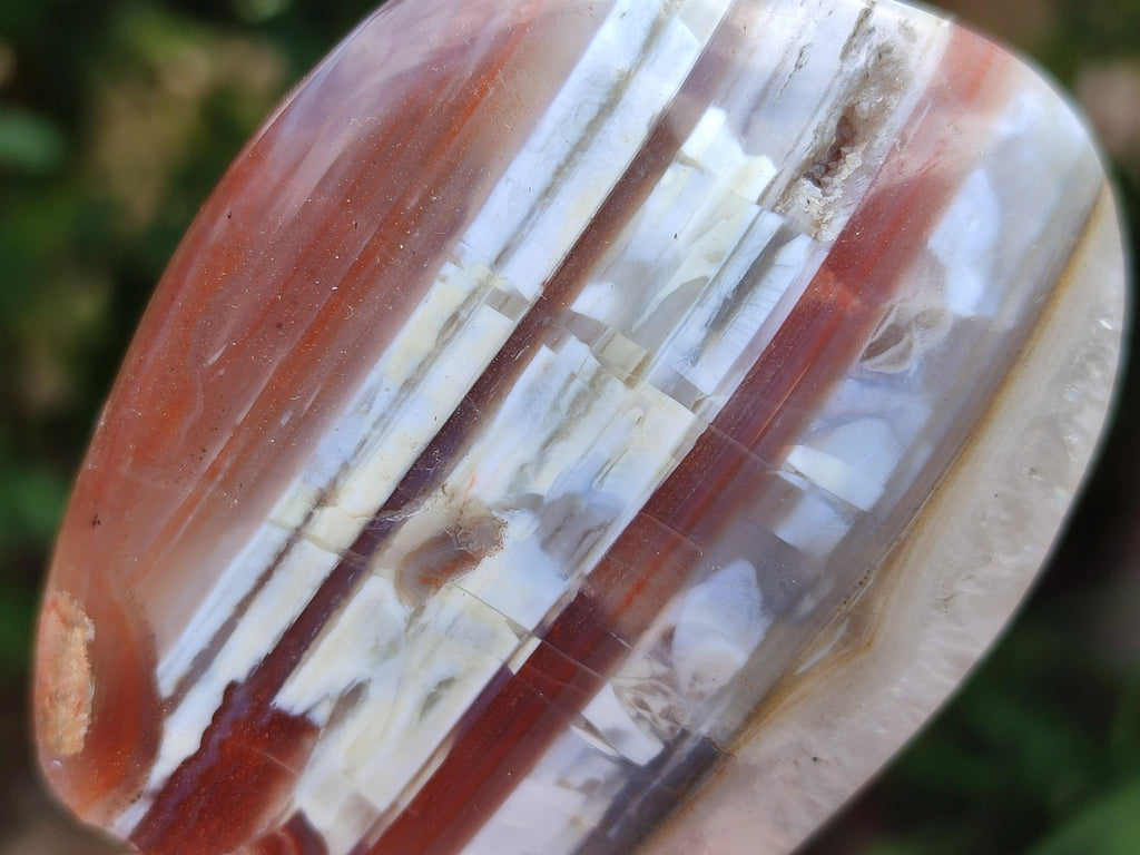 Polished Red Shashe River Agate Standing And Free Forms x 6 From Shashe River, Zimbabwe