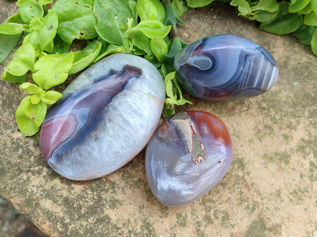 Polished Red Shashe River Agate Standing And Free Forms x 6 From Shashe River, Zimbabwe