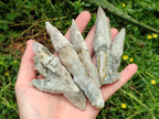 Natural Drusy Quartz Coated Calcite Spearhead Specimens x 12 From Alberts Mountain, Lesotho