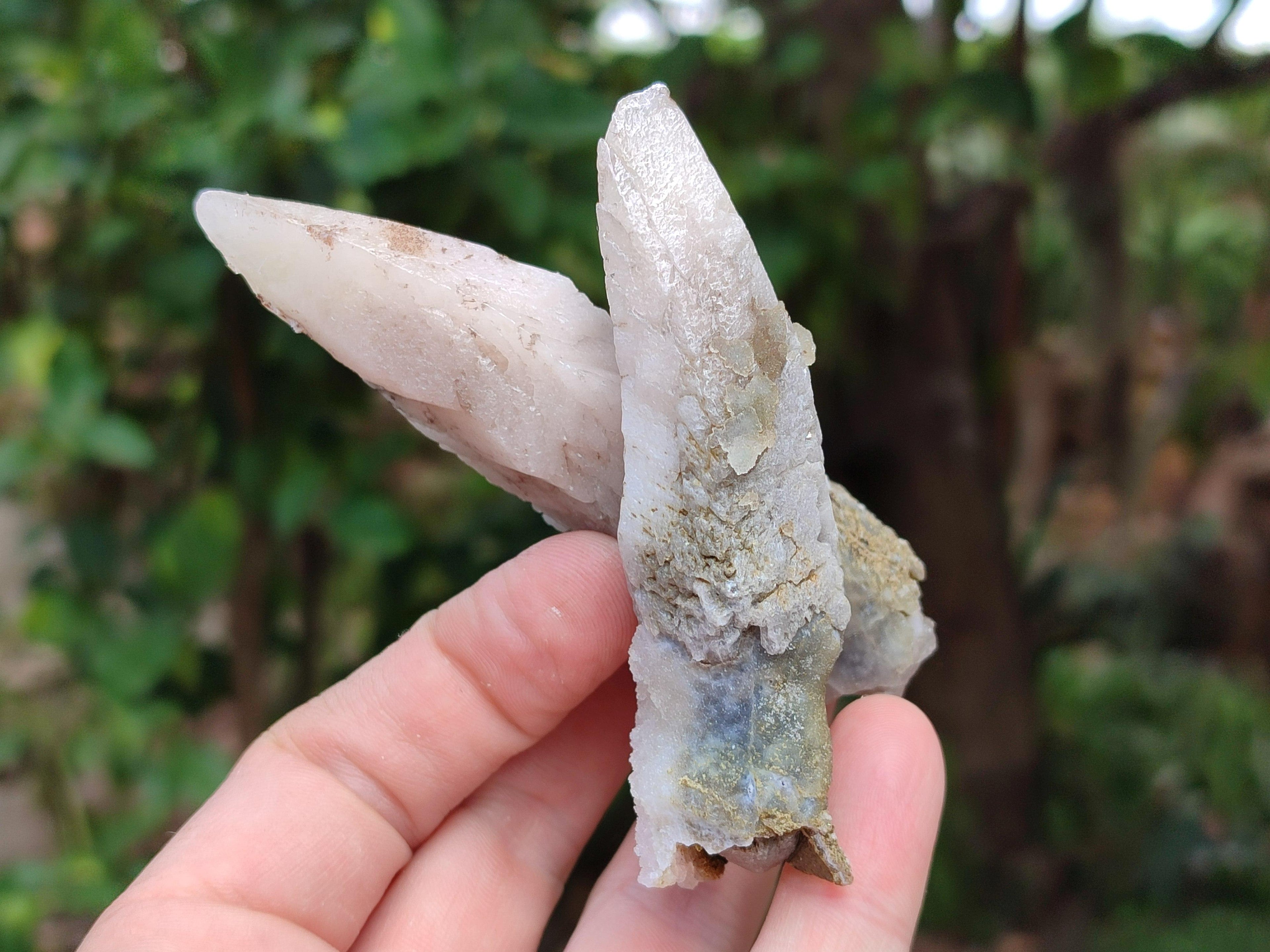 Natural Drusy Quartz Coated Calcite Spearhead Specimens x 12 From Alberts Mountain, Lesotho