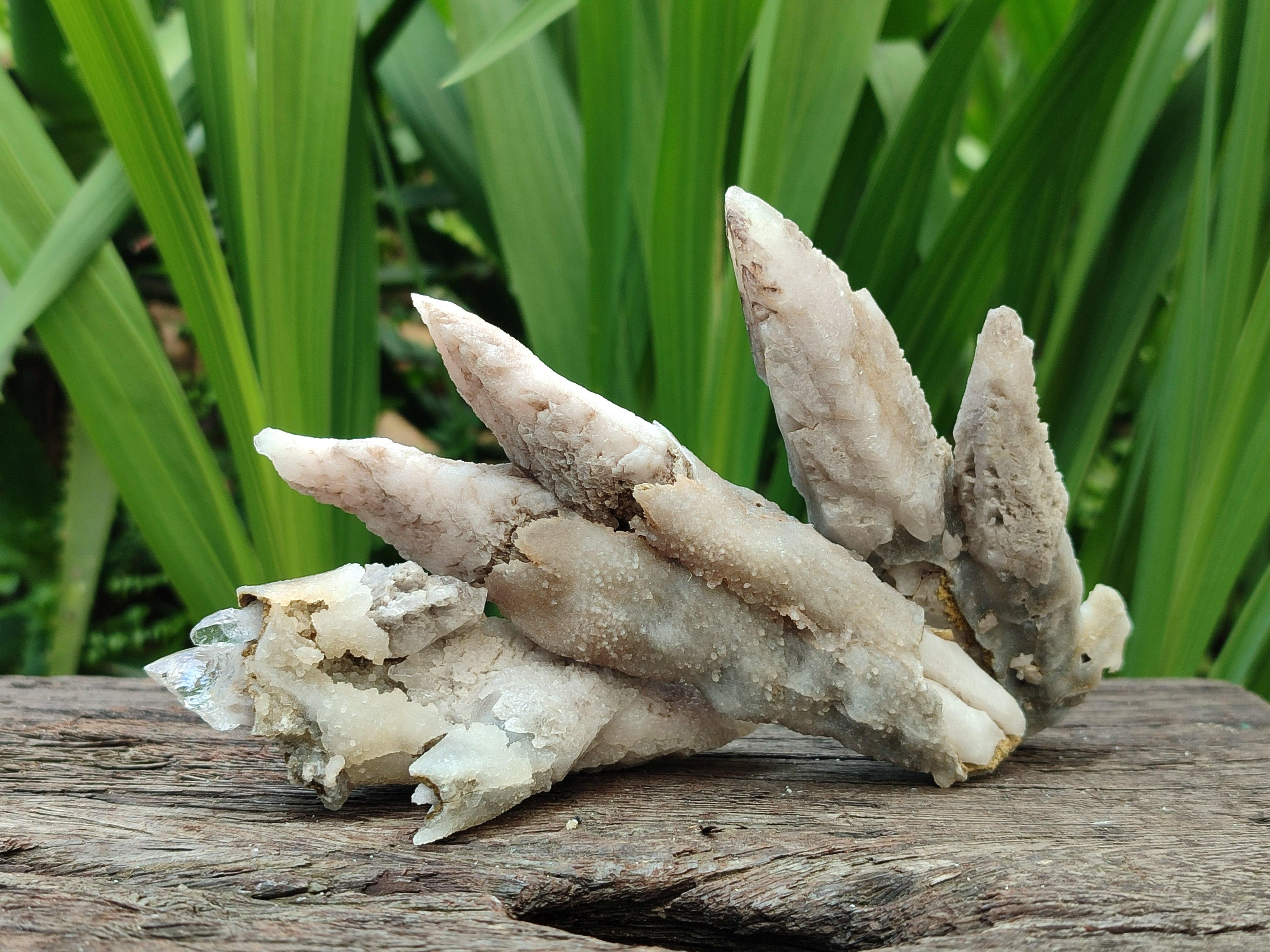 Natural Drusy Quartz Coated Calcite Spearhead Specimens x 12 From Alberts Mountain, Lesotho