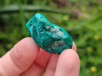 Polished Dioptase Free Forms x 29 From Likasi, Congo
