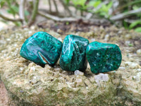 Polished Dioptase Free Forms x 29 From Likasi, Congo