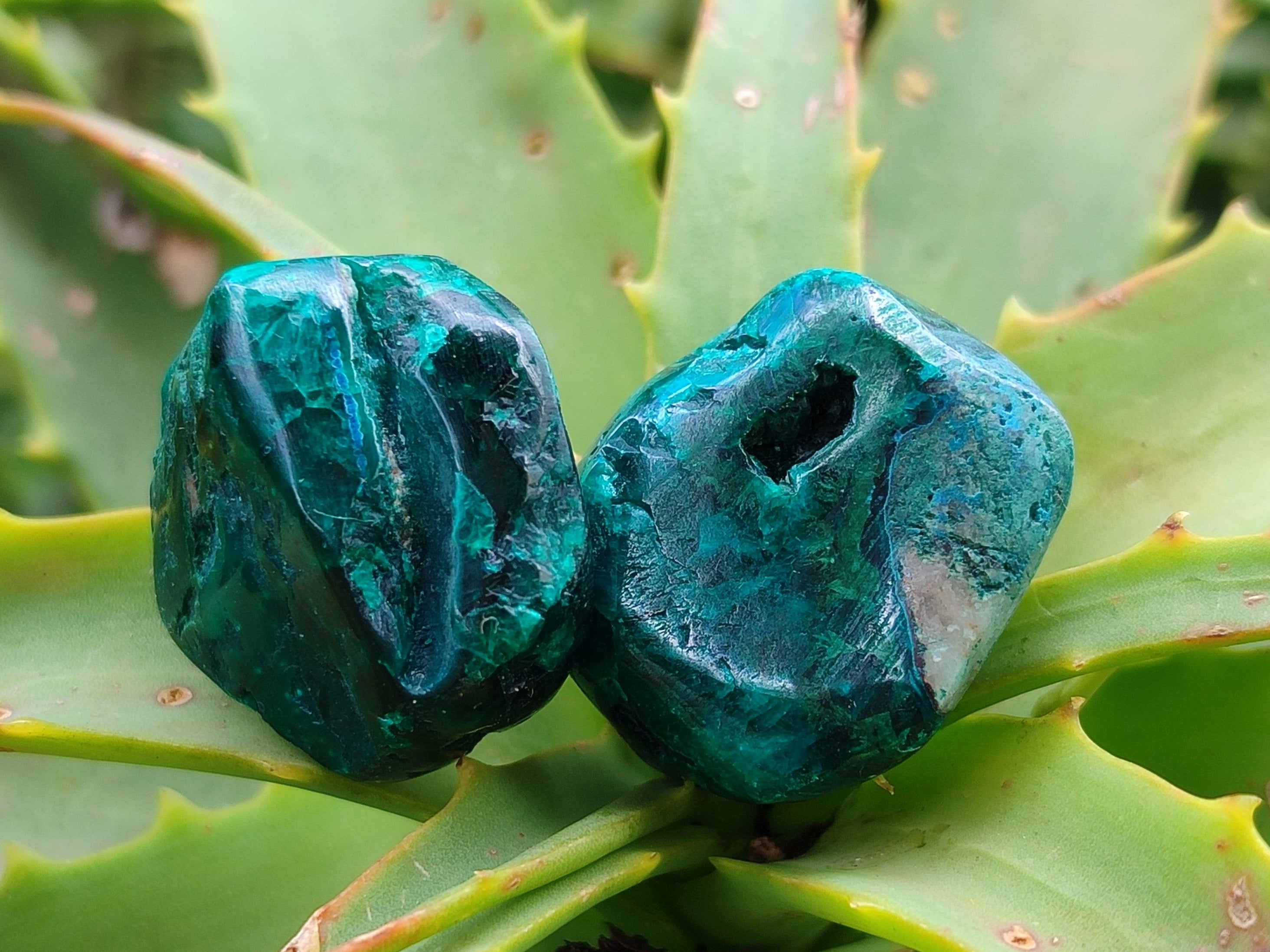 Polished Dioptase Free Forms x 29 From Likasi, Congo