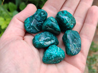 Polished Dioptase Free Forms x 29 From Likasi, Congo