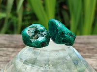 Polished Dioptase Free Forms x 29 From Likasi, Congo