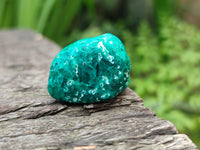 Polished Dioptase Free Forms x 29 From Likasi, Congo