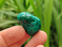 Polished Dioptase Free Forms x 29 From Likasi, Congo