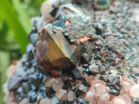 Natural Large Goethite Coated Blacknite Quartz Cluster x 1 From Madagascar